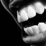 دندان؛ از نیش تا پیش