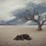 اثرات تغییر اقلیم و گرمایش جهانی از دیدگاه شیلات و محیط زیست