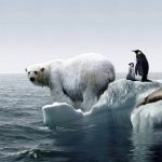 چه ارتباطی میان گرمایش جهانی و بحران آب وجود دارد؟