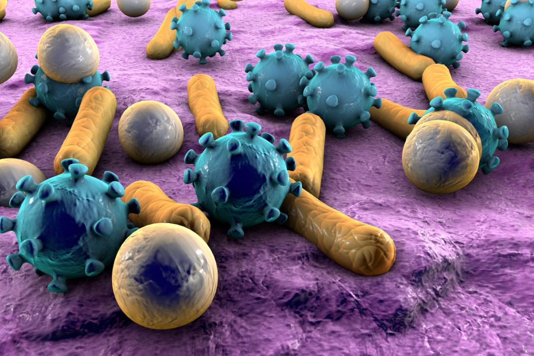 میکروب چیست و چه نقشی در بدن انسان دارد؟