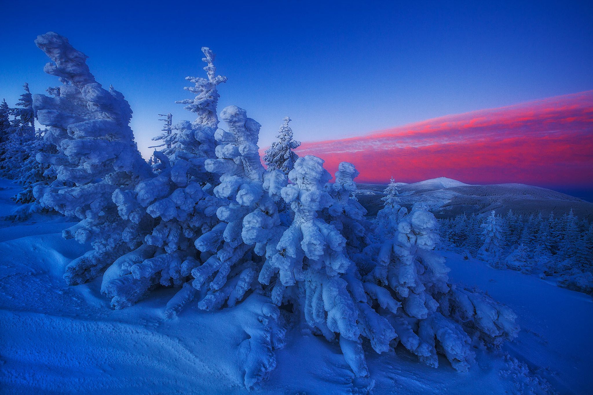 کوهستان کرکونوشه در شمال جمهوری چک و جنوب غربی لهستان. عکاس: IZABELA & DARIUSZ MITRĘGA