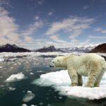 اقلیم چیست و تغییر اقلیم یعنی چه؟ بخش اول