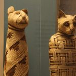 چرا در مصر باستان حیوانات را مومیایی می‌کردند؟