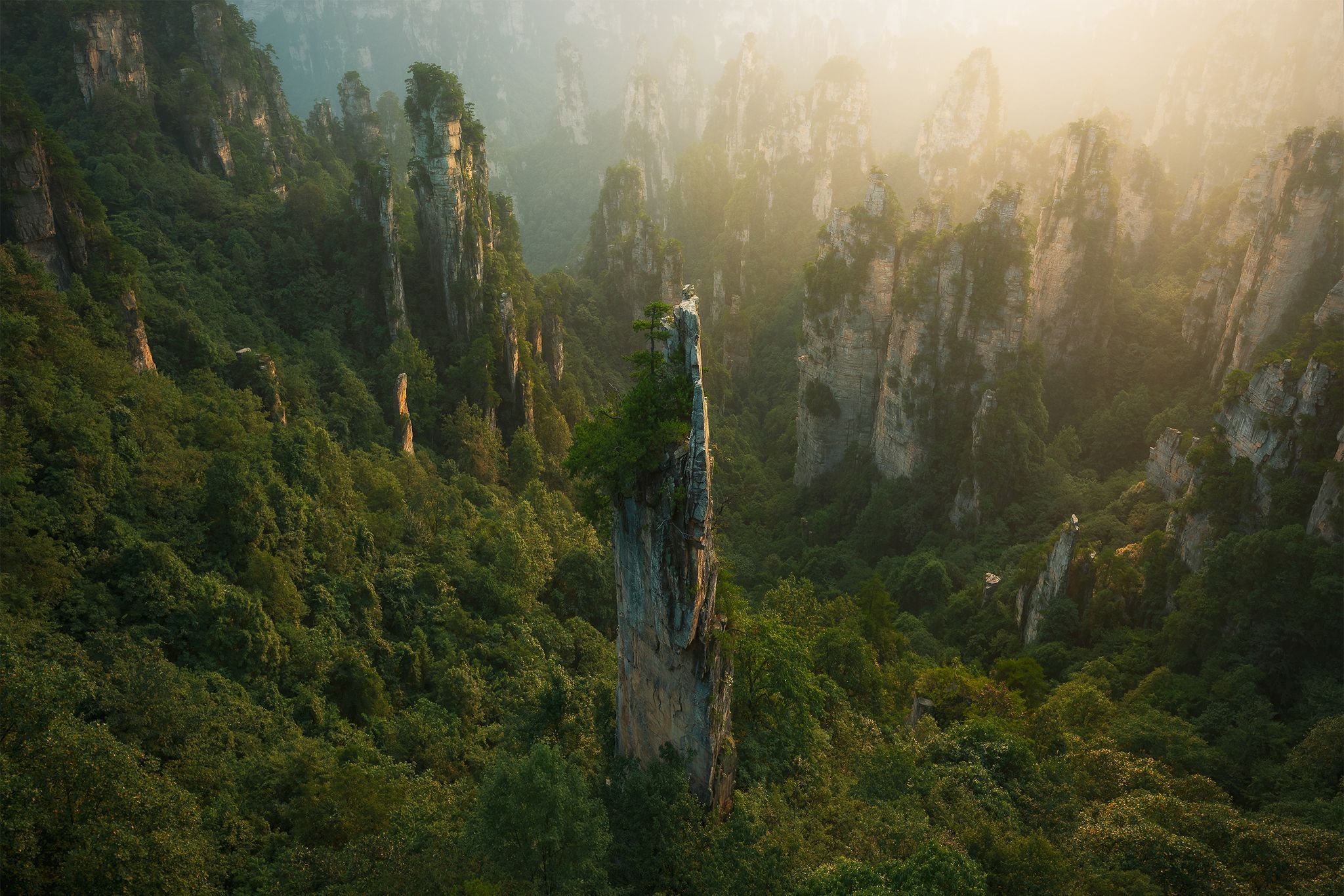  صخره‌های ستونی که از هزاران سال فرسایش پدید آمده‌اند در پارک ملی Zhangjiajie در هونان چین واقع شده‌اند. عکاس: ZHU XIAO