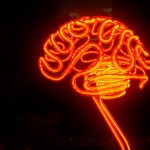 چه می‌شود اگر از تمامی ظرفیت مغزتان استفاده کنید؟