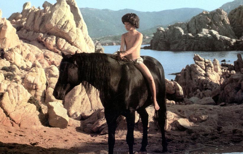 اسب سیاه ۱۹۷۹ حیوانات خانگی