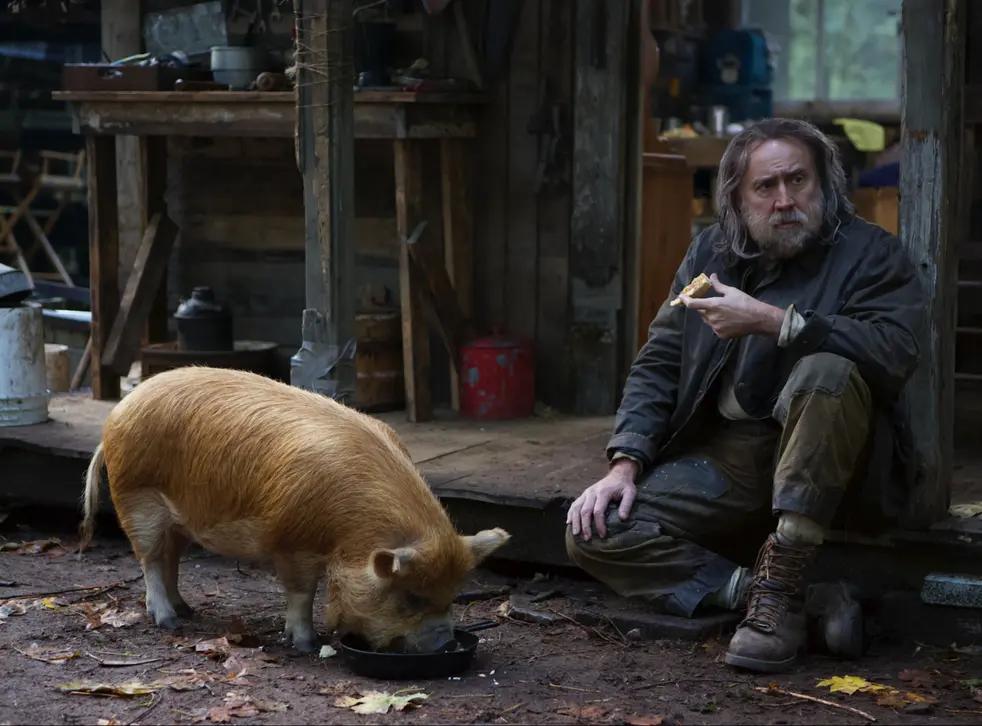 نقد و بررسی فیلم خوک (Pig)